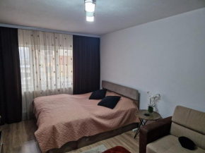 Apartament 2 camere Campulung Muscel